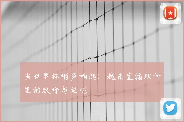 当世界杯哨声响起:越南直播软件里的欢呼与记忆